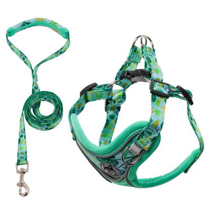 No Chock Dog Harness and Leash Set