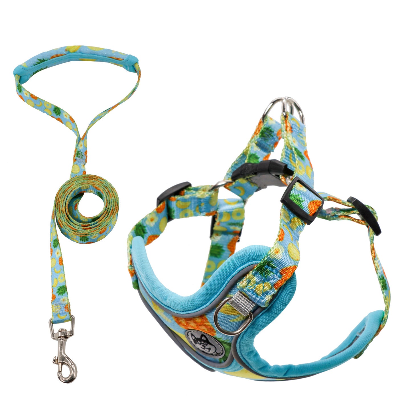 No Chock Dog Harness and Leash Set