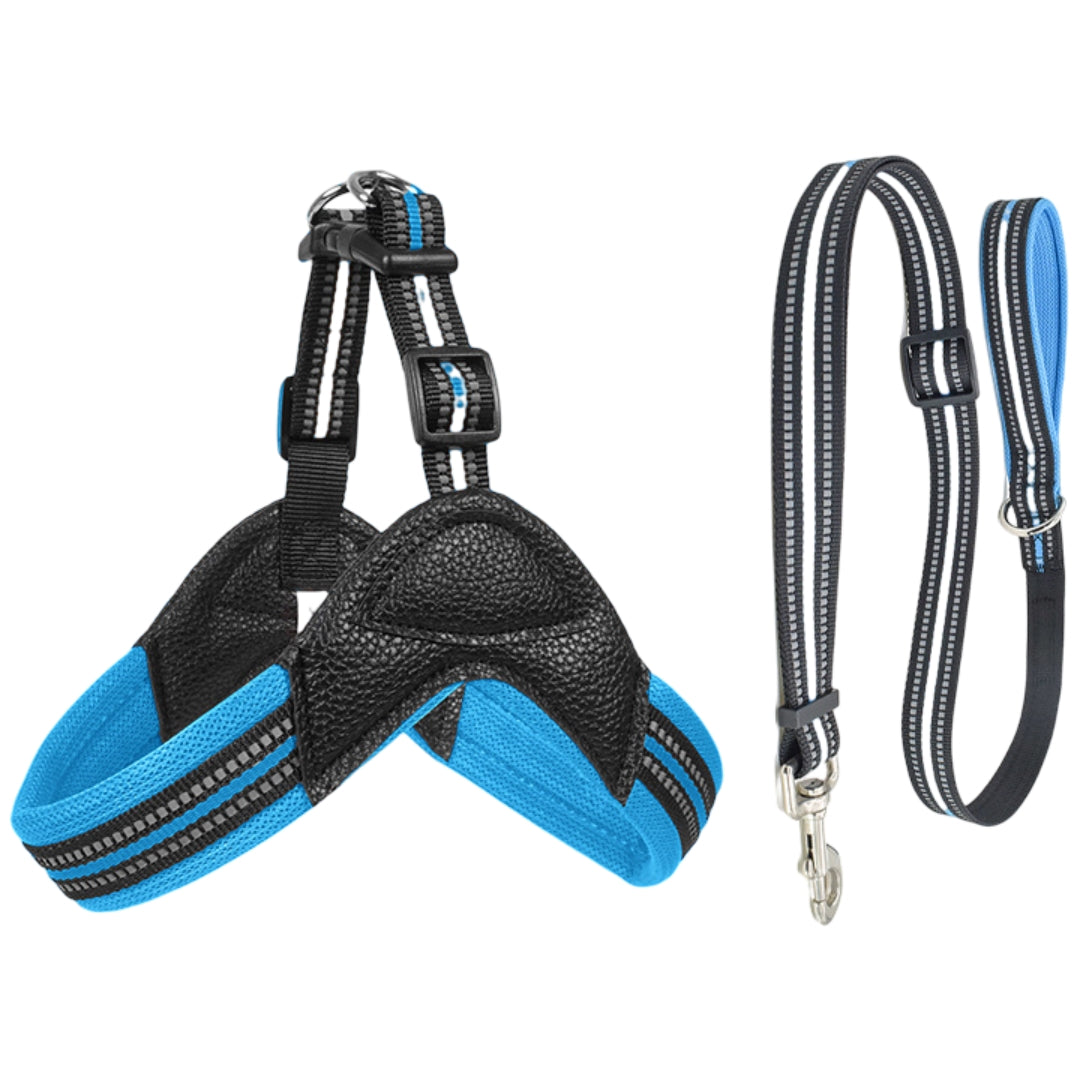 Skin-Friendly Y-Shaped Harness